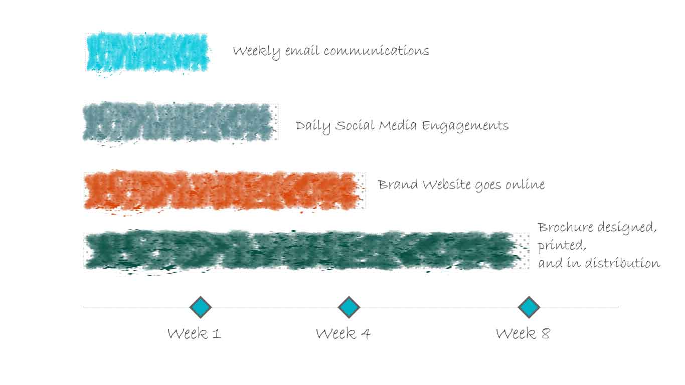 Email Marketing Project Timeline